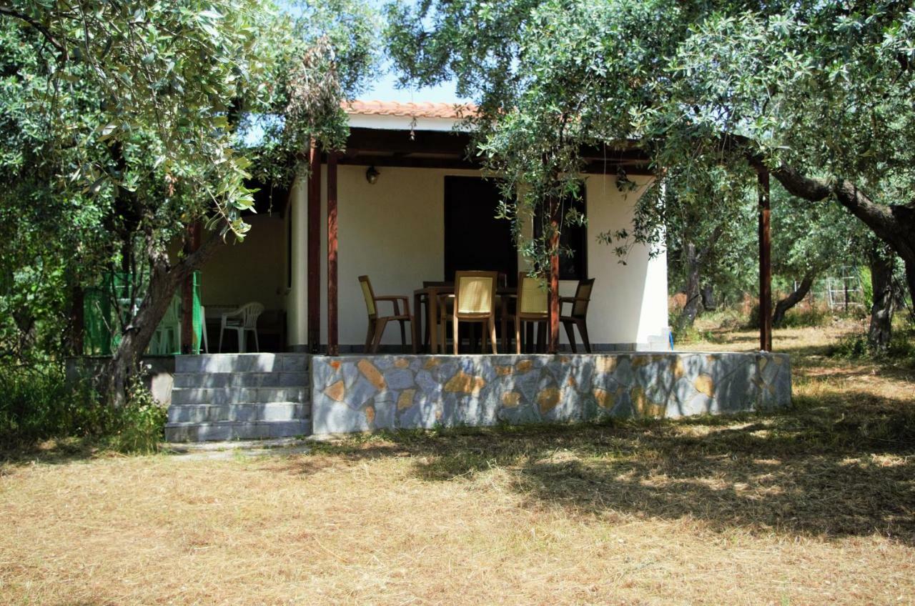 Ktima Elia Villa สกาลาโซติรอส ภายนอก รูปภาพ